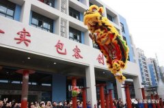 醒狮贺岁，开云网页版·官方端在线-开云(中国)2019年开工大吉